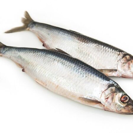 Atlantische haring gezouten 1 kg