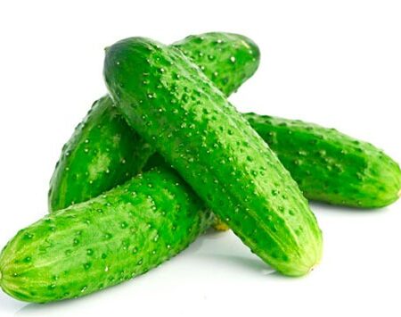 Verse komkommer