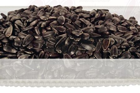 Zonnebloempitten, zwart, vers